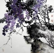 紫菊图